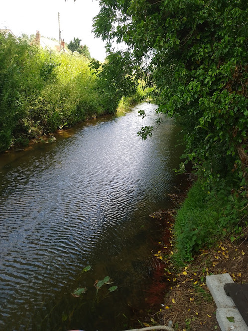 image of fishing stream